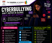 Cyber Bullying