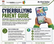 Cyberbullying